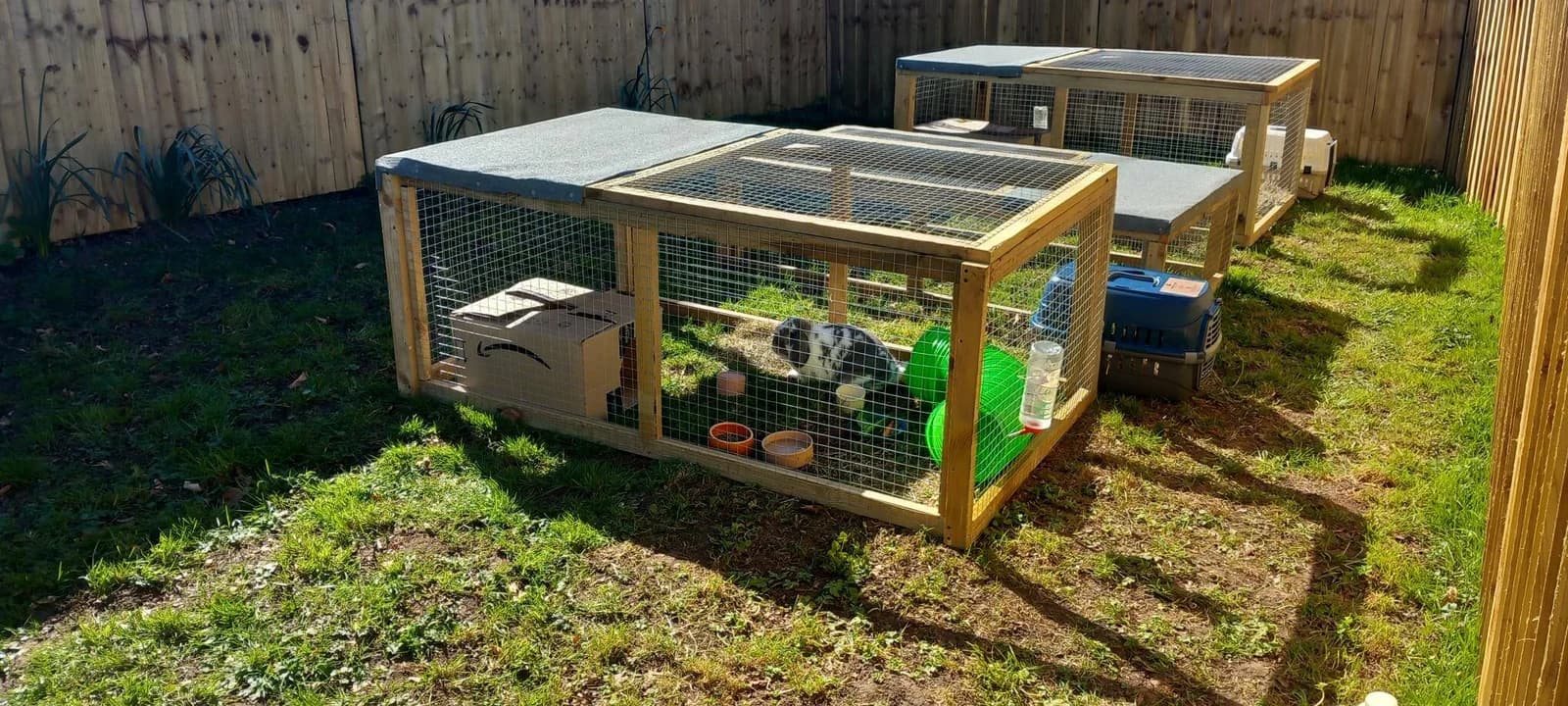 Bristol Bunny Boarding