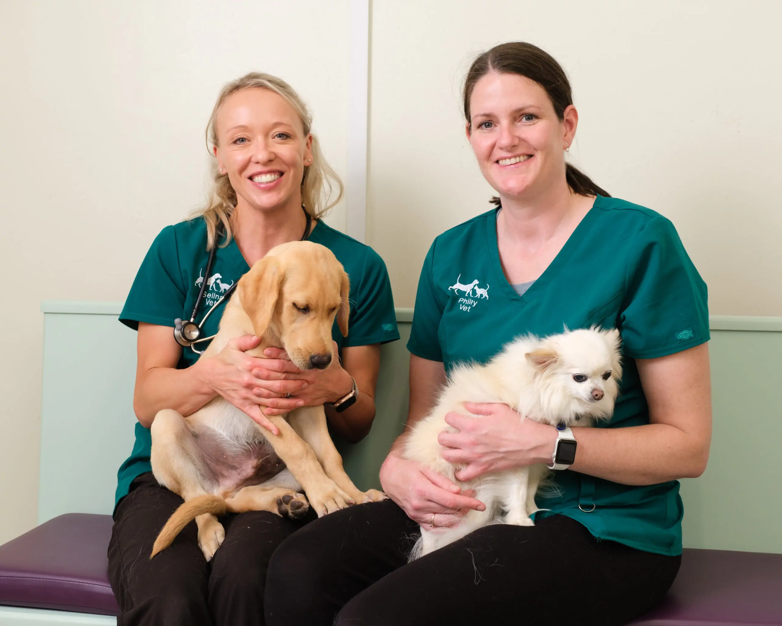 Chalkland Vets - Melksham