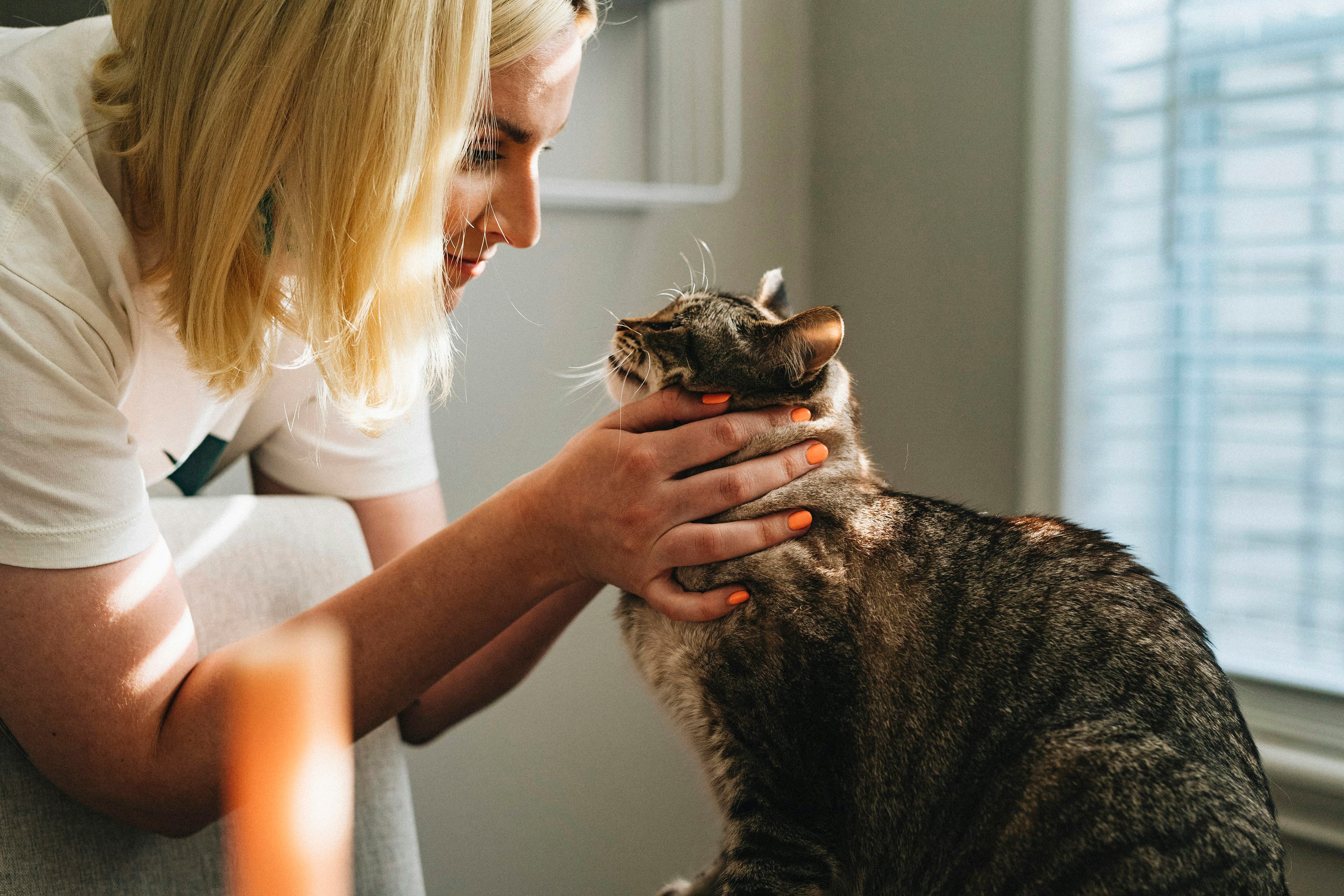 Rowe Veterinary Group