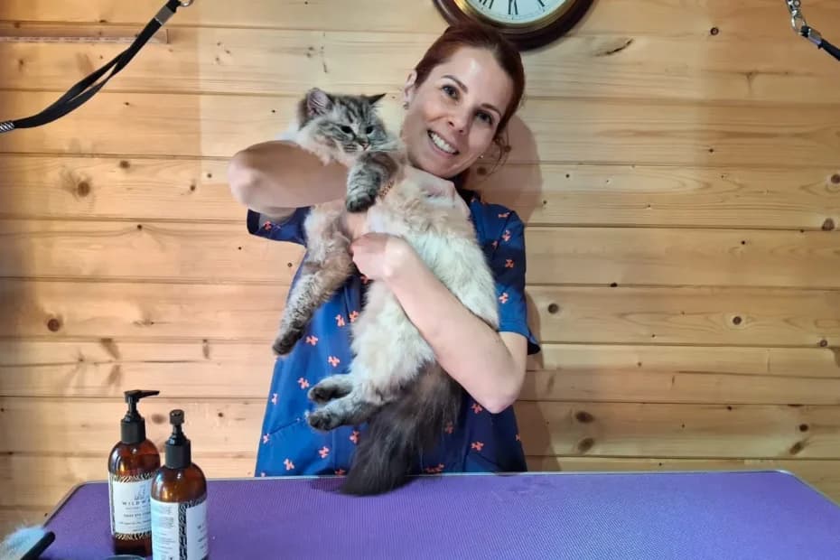 Lyde Green Pet Grooming