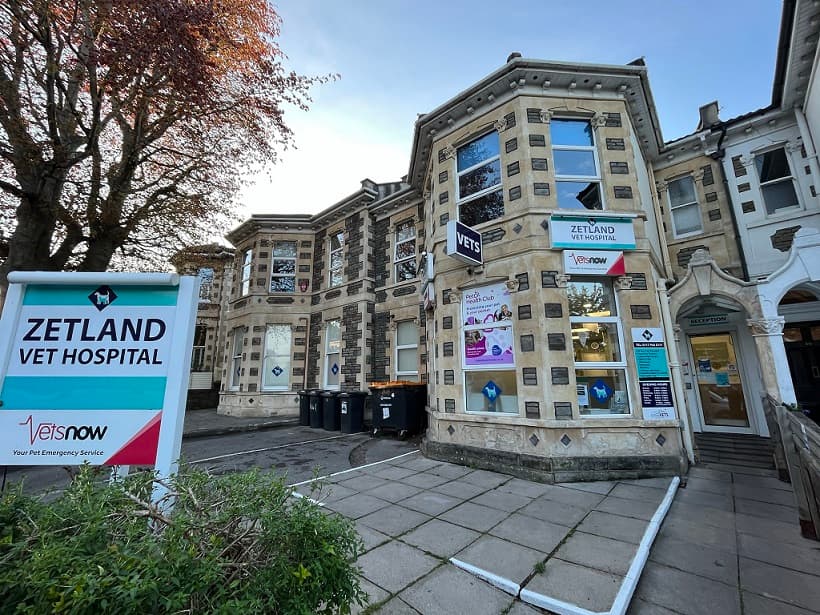 Vets Now - Zetland Road
